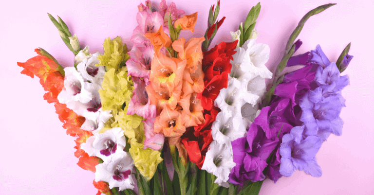 Card Making Inspiration – Birth Month Flowers