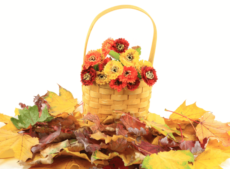 Indoor Flower Arrangements for Fall